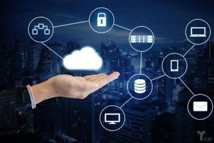 变现猫免费下载 引领网络技术服务的新篇章